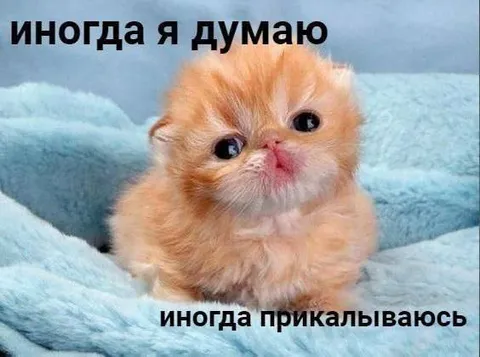 Иногда я думаю, иногда прикалываюсь