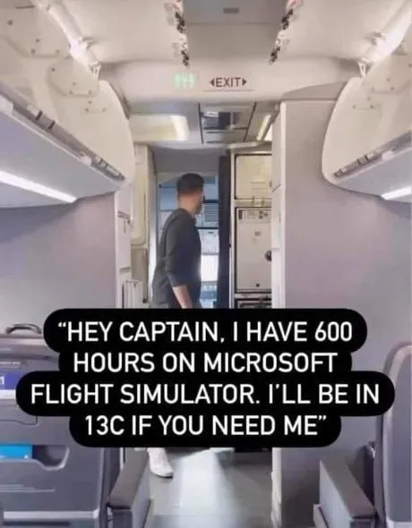 Microsoft Flight Simulator Pilot