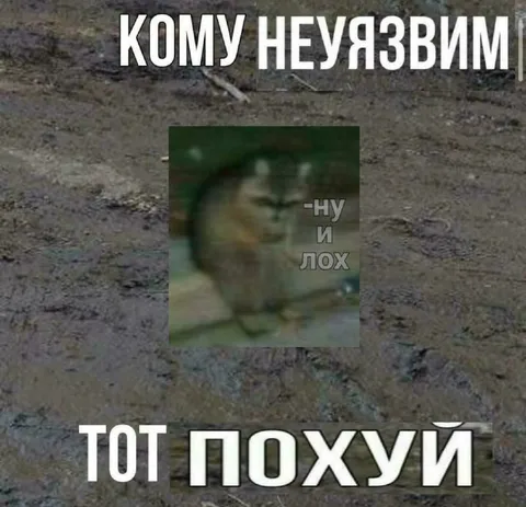 Кому неуязвим — тот похуй