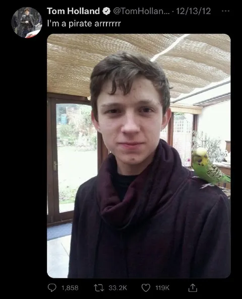 Tom Holland Pirate Parakeet