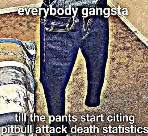 Everybody Gangsta Until the Pants Cite Statistics