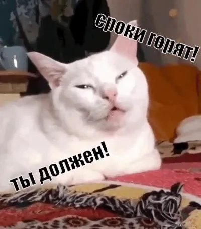 Споки гонят, а ты должен