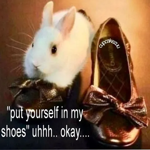 Put Yourself in My Shoes Rabbit