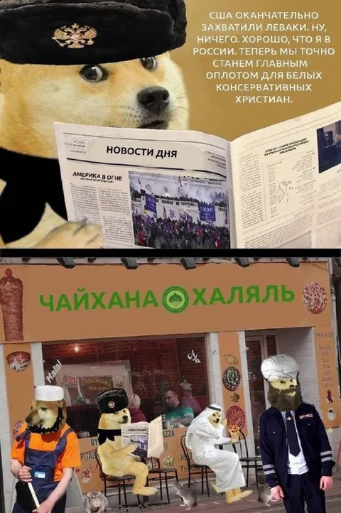 Догe в чайхане Халяль