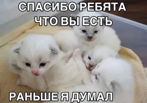 Спасибо ребята что вы есть