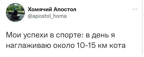 Успехи в спорте с котом
