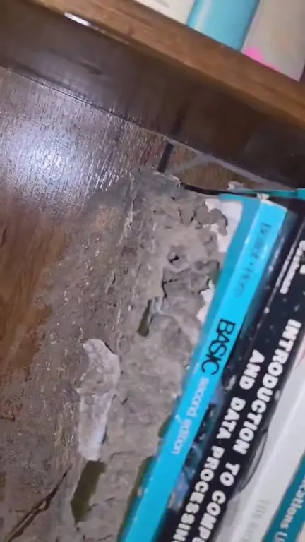 When the Bookshelf Gives Up