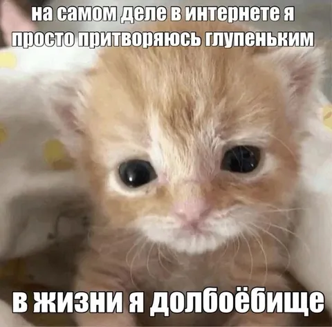 Притворяюсь глупеньким в интернете