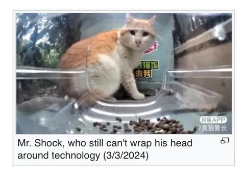 Mr. Shock Technology Confusion