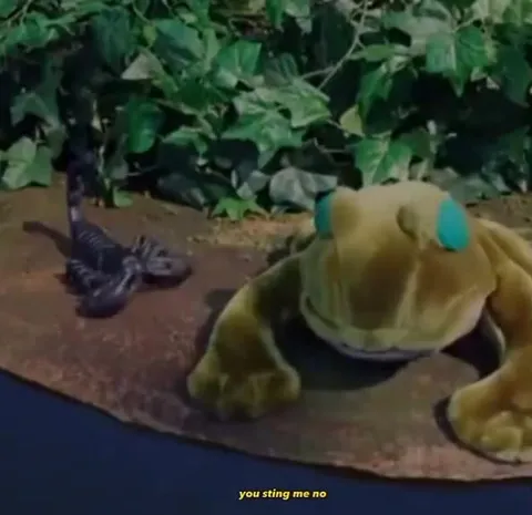 The Scorpion and the Frog