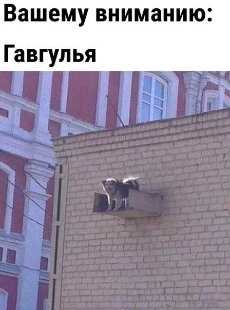 Гавгулья на стене