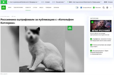 Котольф и штраф за публикацию