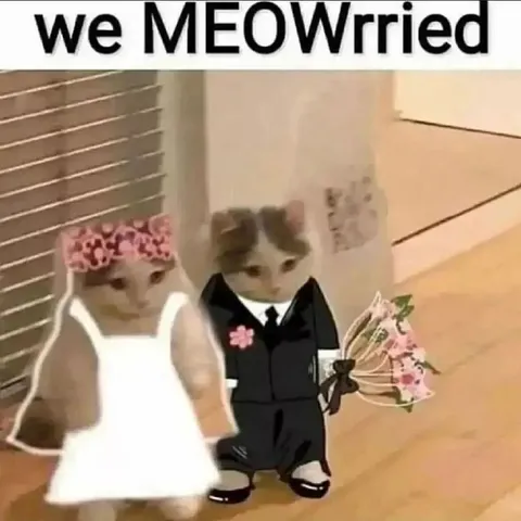 We MEOWrried Wedding Cats