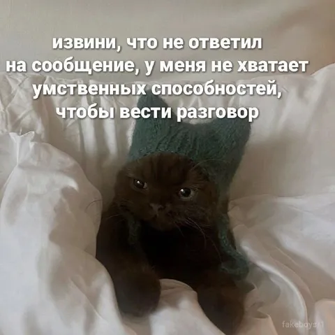 Кот не умеет вести разговор