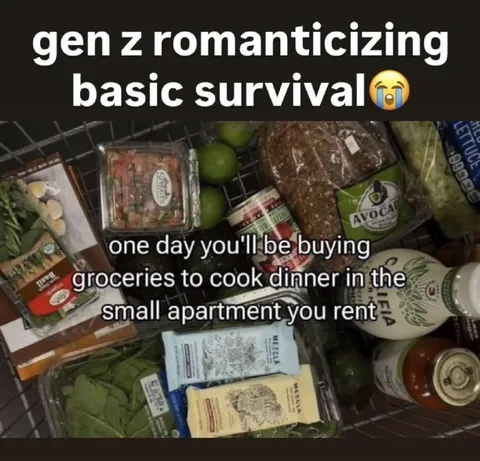 Gen Z Romanticizes Grocery Shopping