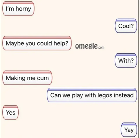 Can We Play With Legos Instead