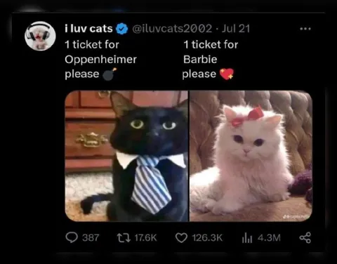 Oppenheimer Cat Versus Barbie Cat