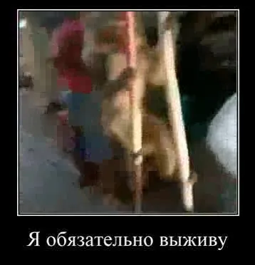 Я обязательно выживу