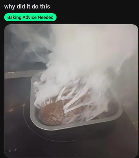 Why Did It Do This?