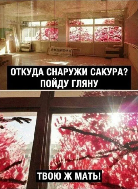 Сакура снаружи школы