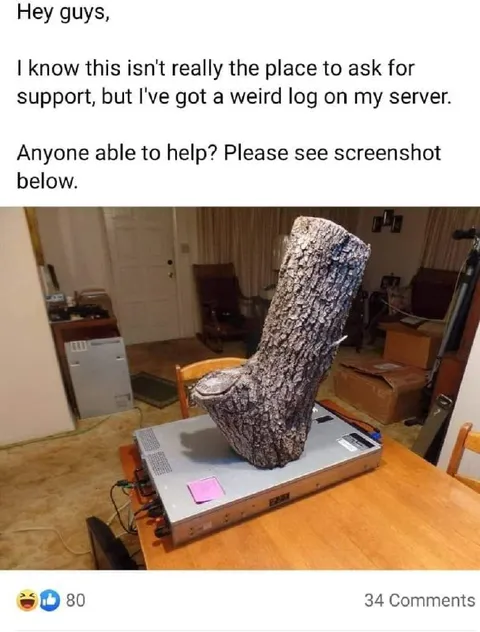 Weird Log on My Server