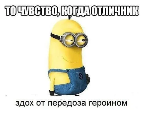 Чувство, когда отличник сдох