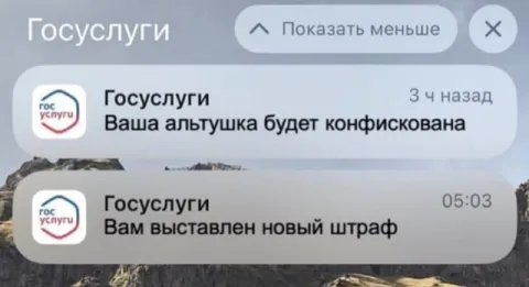 Госуслуги конфискуют альтушку