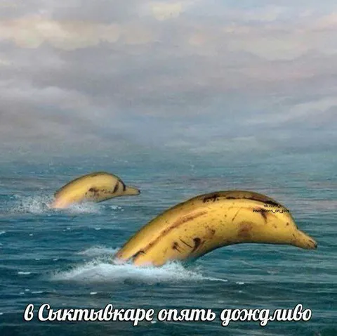В Сыктывкаре опять дождливо