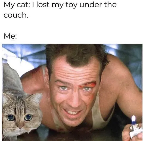 Cat Lost Toy Under Couch