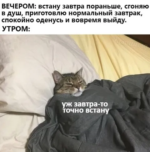 Завтра точно встану