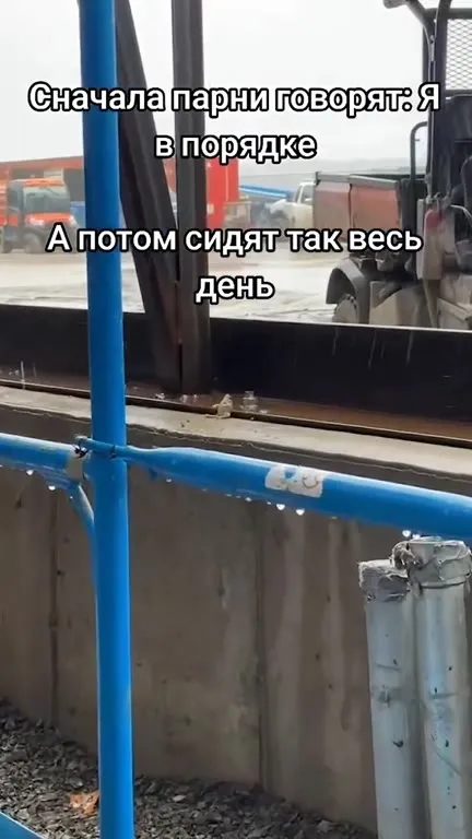 Лягушка сидит весь день