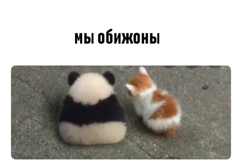 Мы обижоны