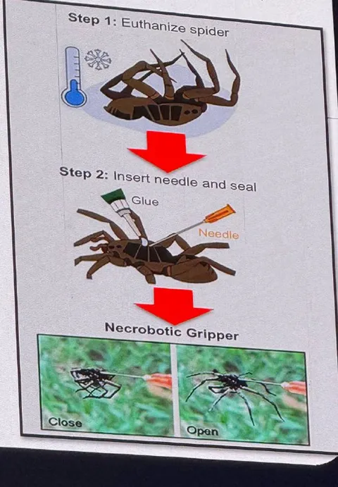 Necrobotic Spider Gripper Instructions