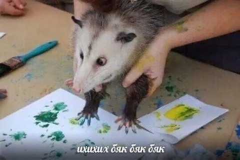Опоссум рисует красками