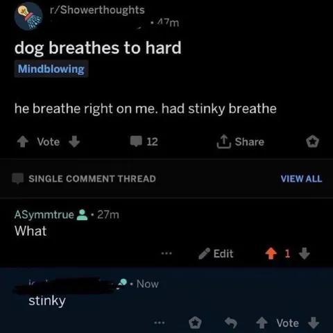 Dog Has Stinky Breath