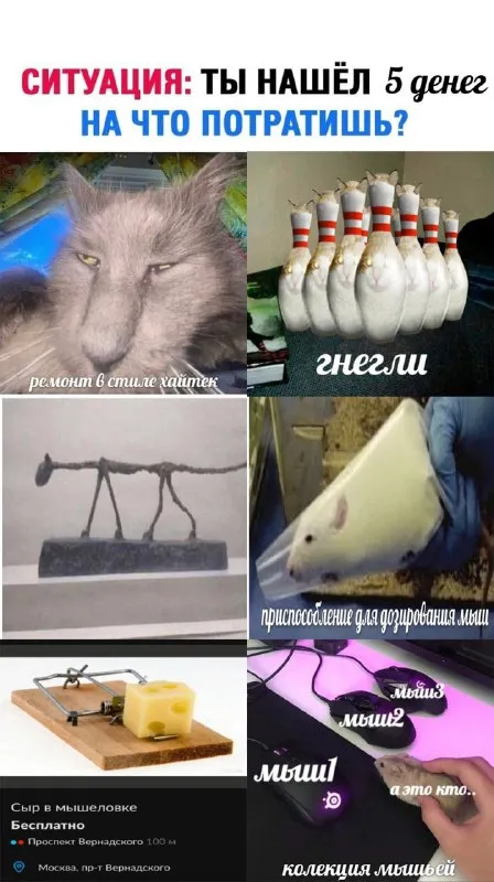 На что потратишь 5 денег