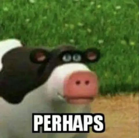 Perhaps Cow
