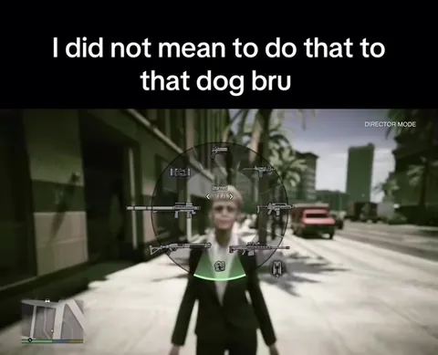 Accidentally Hurt the Dog