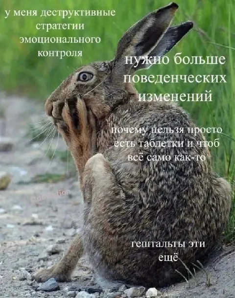 Кролик и гештальты