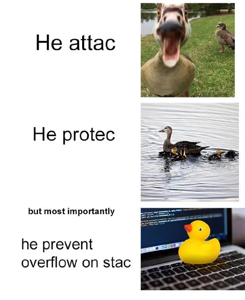 He Attac He Protec Duck