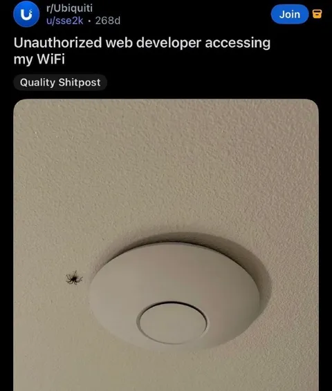 Unauthorized Web Developer on WiFi