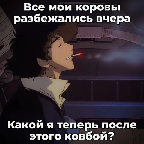 Ковбой после побега коров
