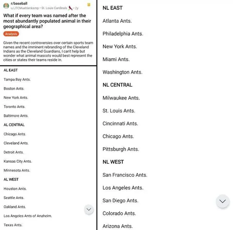 Every Team Named After Ants