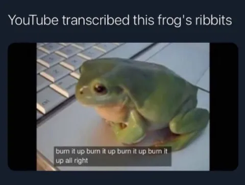 Frog Sings Burn It Up