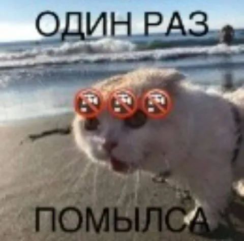 Кот ошибся один раз