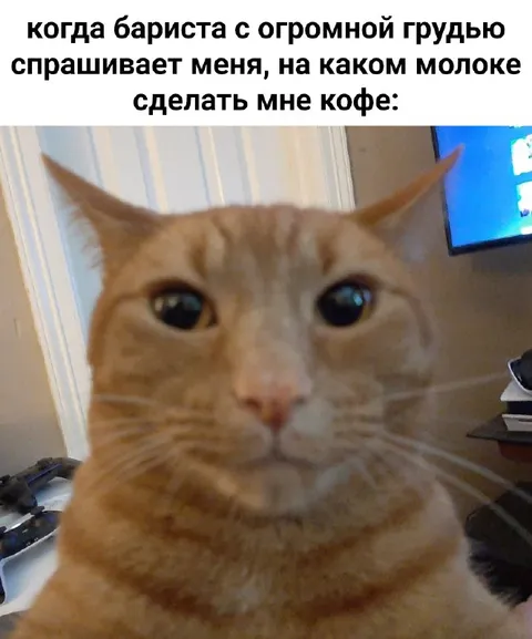 Бариста спрашивает про молоко