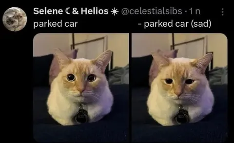 Parked Car Sad