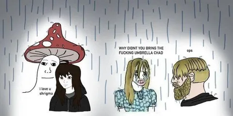 Why Didn’t You Bring the Umbrella