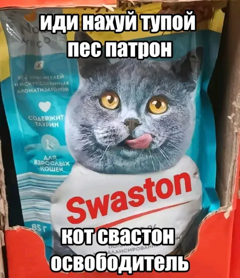 Кот Свастон освободитель