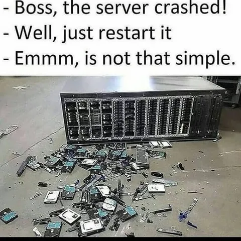 Server Crashed Beyond Restart